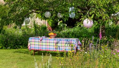 Cotton Check Table Linen