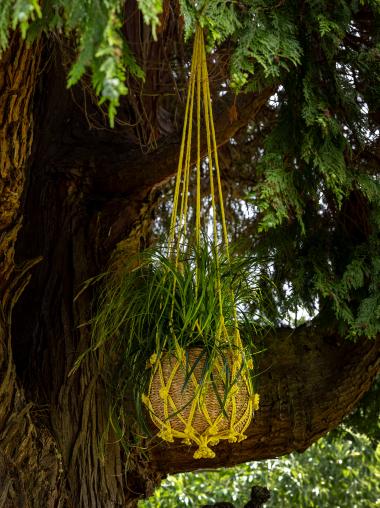 Hanging Basket