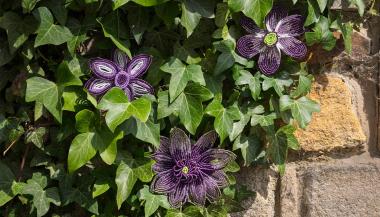 Purple Beaded Flowers